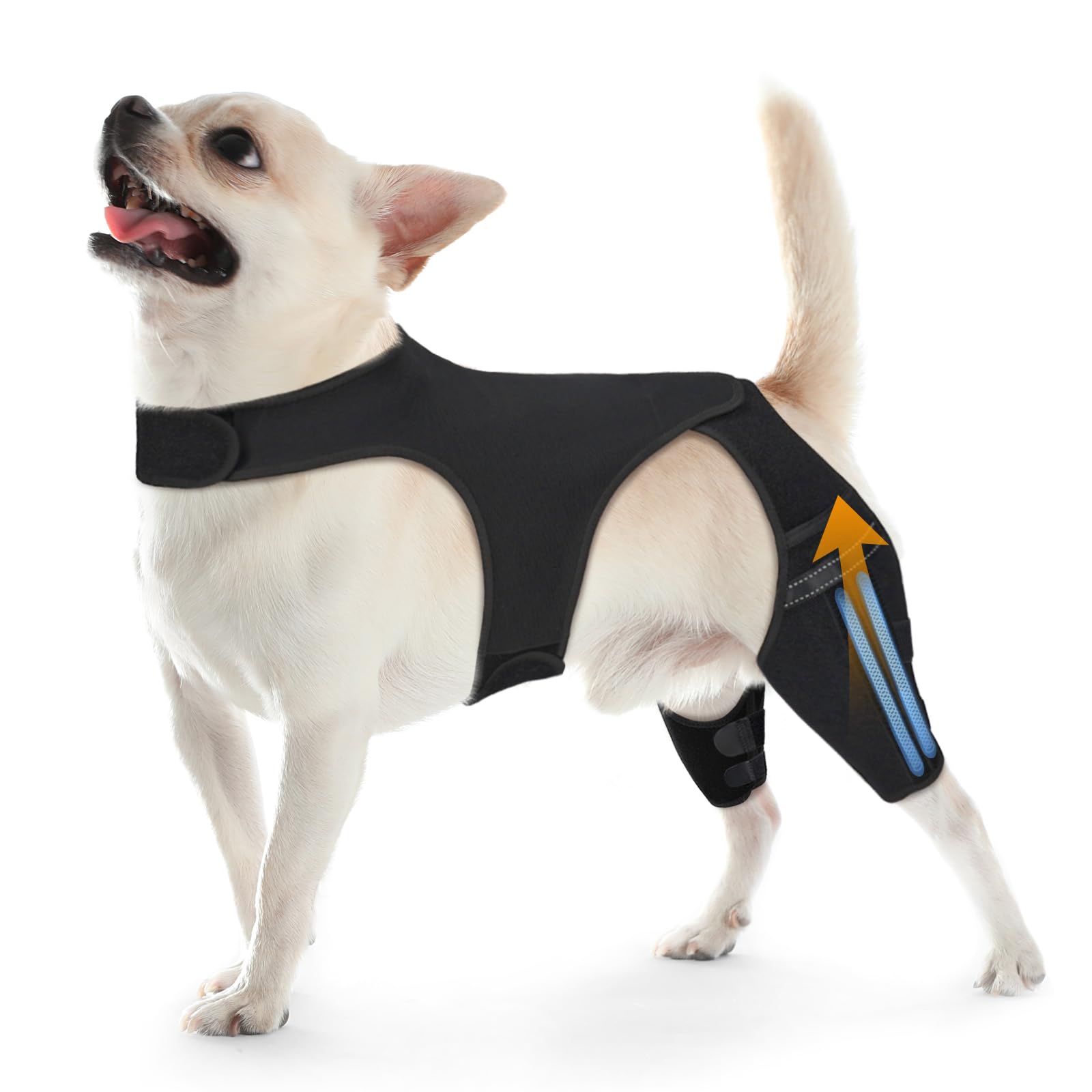 Photo 1 of *med/large* Marnonsis Dog Leg Braces for Back Leg, Adjustable Dog Knee Brace for Torn Acl Hind Leg with 4 Stabilizers, Hip Support to Reduces Pain, Ligament Injuries & Luxating Patella for Small Medium Large Dogs
