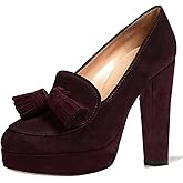 SHODENSE Women Vintage Chunky Platform Loafers Pumps Tassel Round Closed Toe Slip On Suede Block High Heel Dress Loafer Shoes Buckle Strap Oxford Loafers Fringe Pump Dressy Chic Sexy Y2k 4-11 M US