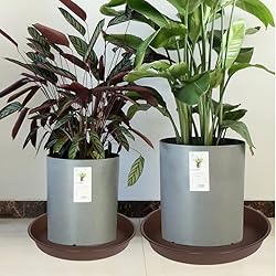 Bleuhome 4 Pack of 14 inch Plant Saucer, Heavy Duty