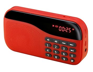 portronics fm
