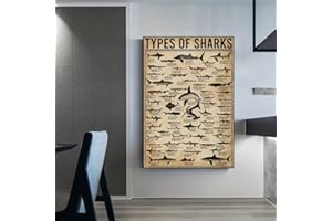 1pc Shark Species Canvas Poster Retro Art Style Vintage Marine Chart Design For Bedroom Living Room Corridor Wall Decor. (Not
