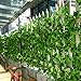 Youfui 82ft Artificial Grape Ivy vine Faux Leaf Garland Plants Fake Foliage Green Decor