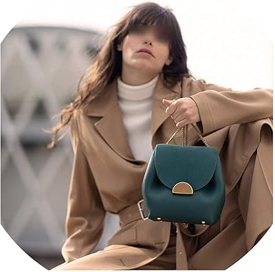 small chain handbags