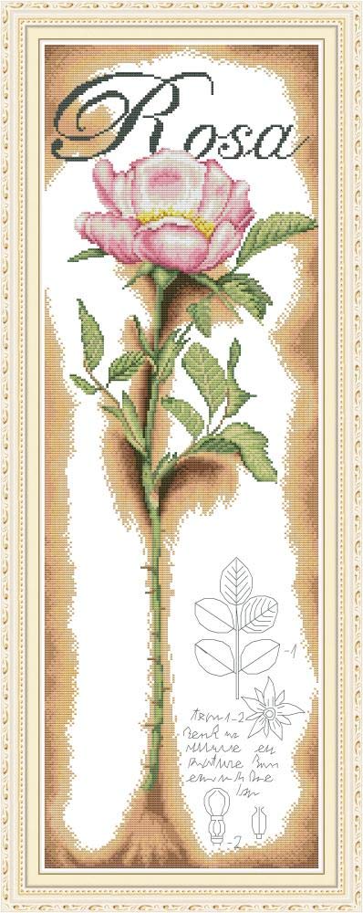 WOWDECOR Cross Stitch Embroidery Kits for Adults Kids, One Beautiful Pink Rose Flowers 11CT Stamped DIY DMC Needlework Easy Beginners