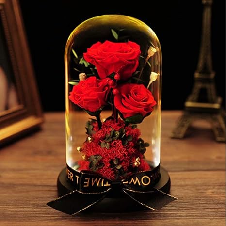 Amazon 可愛い プリザーブドフラワー バラ レッドローズ 薔薇 花 ガラスドーム Ledライト付き 木製ベース ブリザードフラワー ロマンティック きれい おしゃれ 記念日 お祝い 結婚式 結婚記念日 退職祝い 誕生日 両親 妻 友達 母親 女性 義母 プレゼント ギフト 贈り物 Amazon 可愛い プリザーブドフラワー バラ レッドローズ 薔薇 花 ガラスドーム Ledライト付き 木製ベース ブリザードフラワー ロマンティック きれい おしゃれ 記念日 お祝い 結婚式 結婚記念日 退職祝い 誕生日 両親 妻 友達 母親 女性 義母 プレゼント ギフト 贈り物