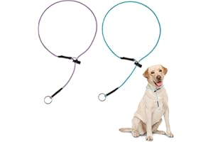 FURSDOLY No Pull Dog Collar Slip Collars - 4.2mm 1000lb Paracord 26'' Thin Reflective Martingale Collar with Adjustable Stopper & Sturdy Stainless Stell O-Ring (Light Blue & Purple)