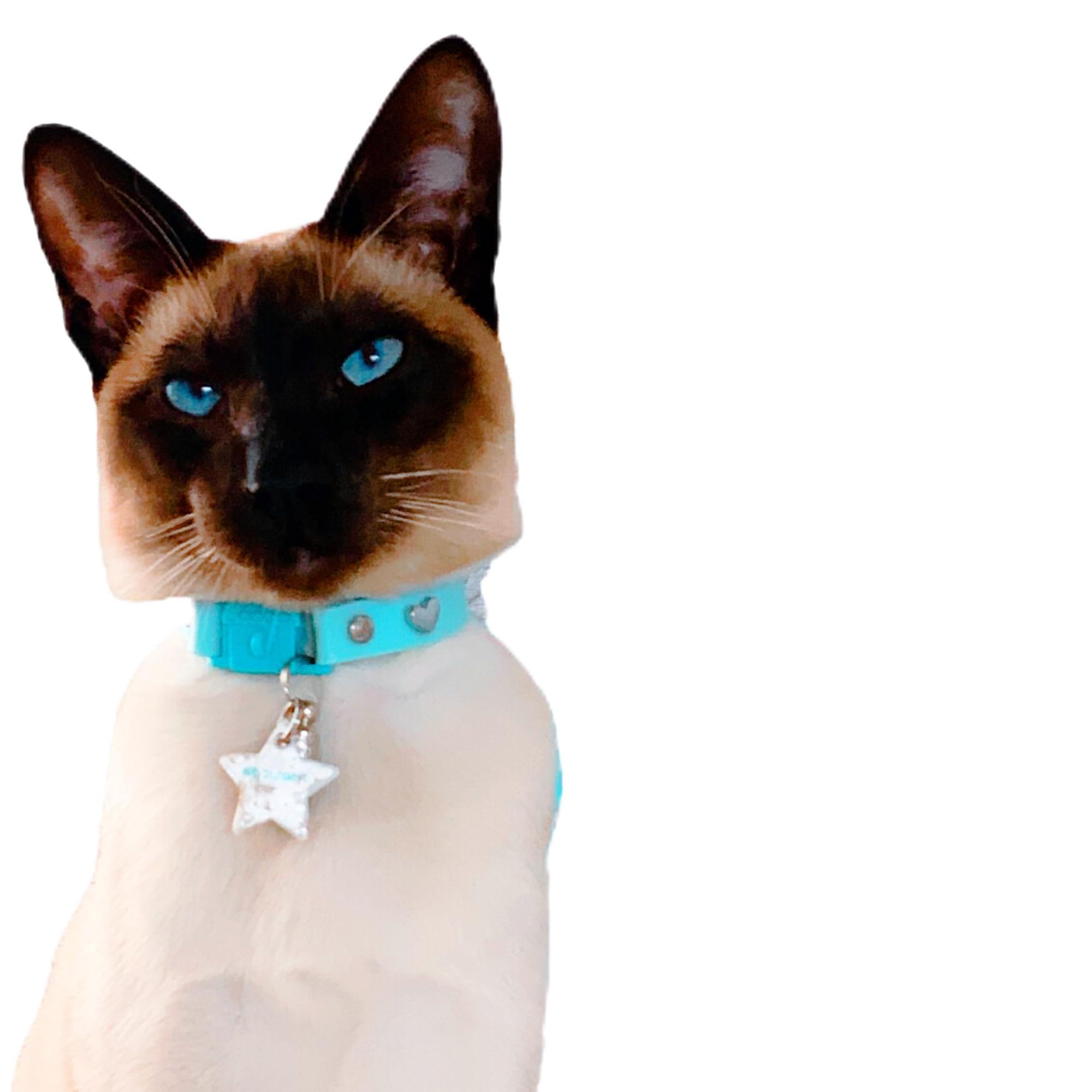 Kittyrama Reflective Star Charm. Safety Cat Tag. Lightweight, High Visibility, Waterproof. Fits All Reflective Cat Collars