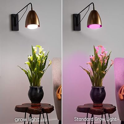 Buy Ge Grow Light Bulb 24 Inch Led Grow Lights For Indoor Plants Full Spectrum 40 Watt Indoor Plant Light With Balanced Lighting For Seeds Greens Online In Turkey B07nnr9dlx