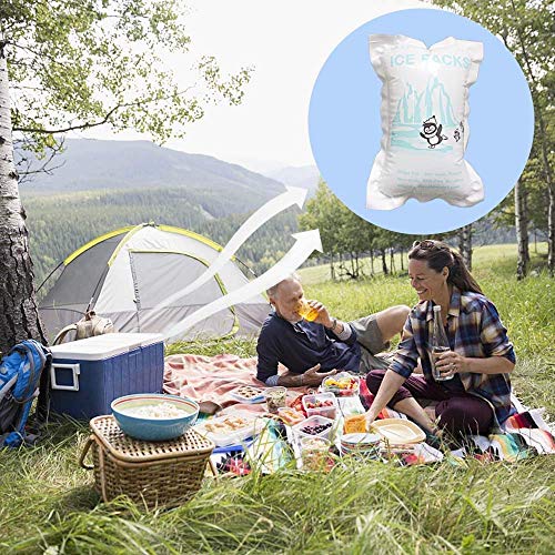 Small Dry Ice Packs for Shipping Food, Reusable Freezer Cold Packs for