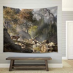 Wolf Near a Lake in a Rocky Mountain Landscape. - Fabric Wall Tapestry Home Decor - 51x60 inches