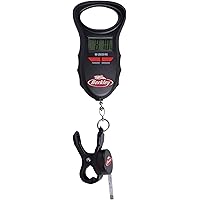 fish measuring scales