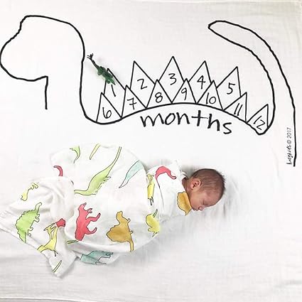 Junye Joli Bebe Enfant Photographie Accessoires Photo Fond Toile De Dessin Anime Chateau Dinosaure Imprimer Couverture Decorative 3 Amazon Fr Cuisine Maison Junye Joli Bebe Enfant Photographie Accessoires Photo Fond Toile De Dessin Anime Chateau Dinosaure Imprimer Couverture Decorative 3 Amazon Fr Cuisine Maison