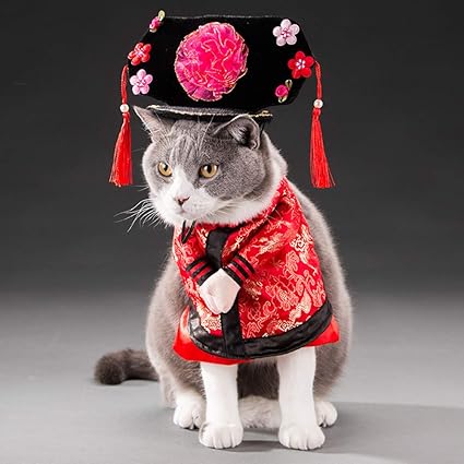 Amazon Com Funny Chinese Princess Jacket Suit Super Cute