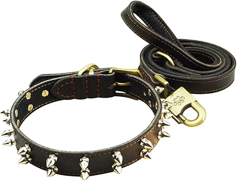 leather and chain dog collar