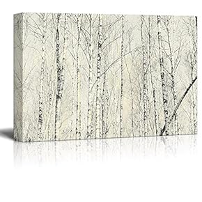 Tall Trees in Winter