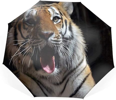 Amazon.de: Folding table Klapptisch/Aktivitätstisch/Langer Tisch