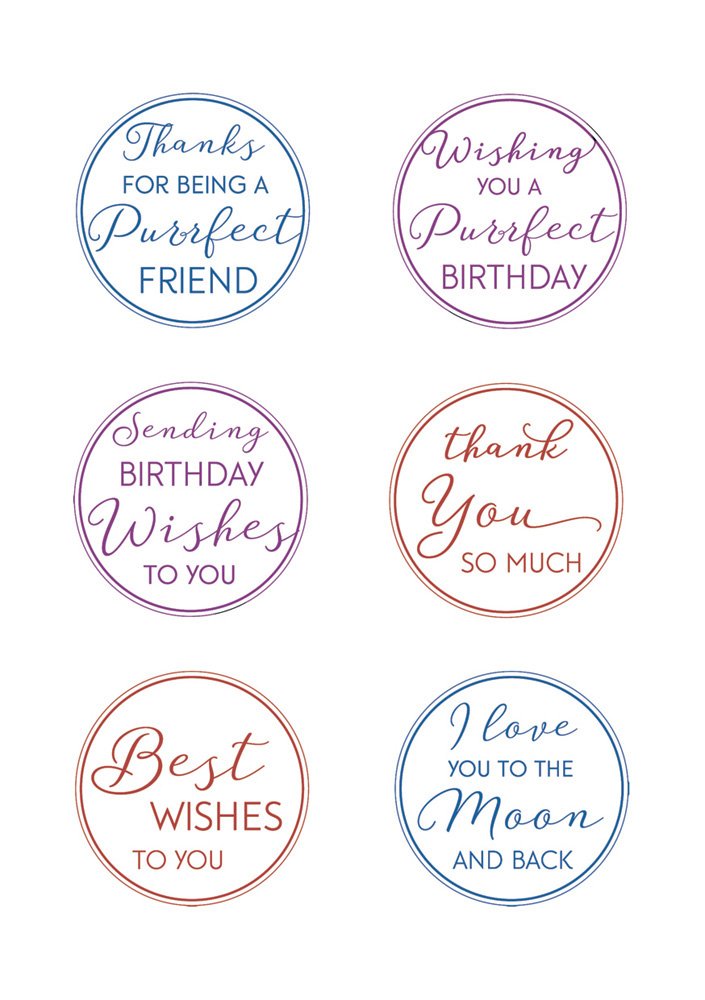 Wild Rose Studio Clear Stamp 3.5 x 3-inch Cat and Moon Greeting, Acrylic, Multicoloured, 2.97 x 5.65 x 0.1 cm