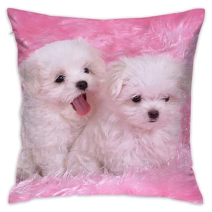 Amazon Com Dog Puppy Cute Pet Logo Pillowcase Covers Zippered