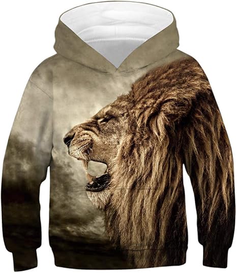 felpe under armour scontatissime