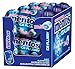 Mentos Sugar-Free Chewing Gum, Ice Flurry, 45 Piece Bottle (Pack of 6)