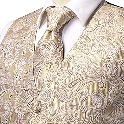 Hi-Tie Mens Suit Vest Bowtie Set Ties for Men V