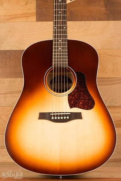 Seagull Entourage Acoustic Guitar