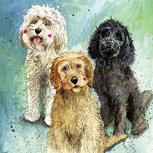 ALEX CLARK Cockapoos Blank Greeting Card