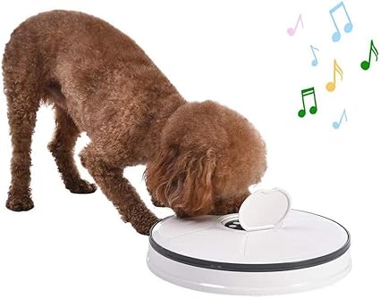 Sdtsdzs Automatique Distributeur Croquettes Pour Chienchat