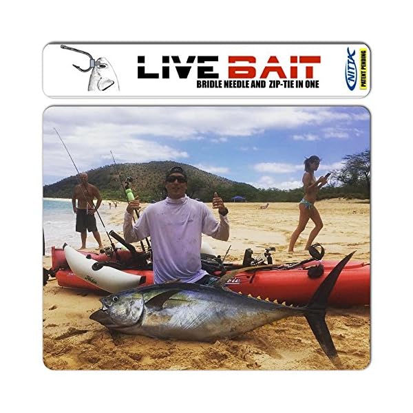 Live-Bait-Zip-Bridle-Needle-Hook-Harness-and-Zip-Tie-in-One Live-Bait-Zip-Bridle-Needle-Hook-Harness-and-Zip-Tie-in-One
