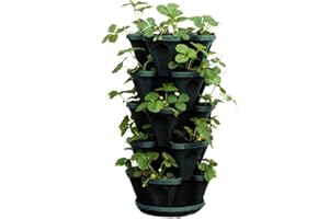 Mr. Stacky 1305-HG 5-Tier Stackable Strawberry, Herb, Flower, & Vegetable Planter - Vertical Gardening Indoor / Outdoor Stacking Garden Pots Hunter Green, 22.5 Quarts