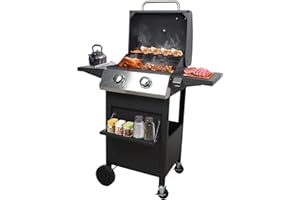 MHEOMTME 2 Burners Portable BBQ Gas Grill, 20000 BTU Small Camping Barbecue Propane Grills Outdoor Cooking, Built-in Thermometer Stainless Steel Barbeque Propane Grills for Patio/Backyard/Garden/Picnic