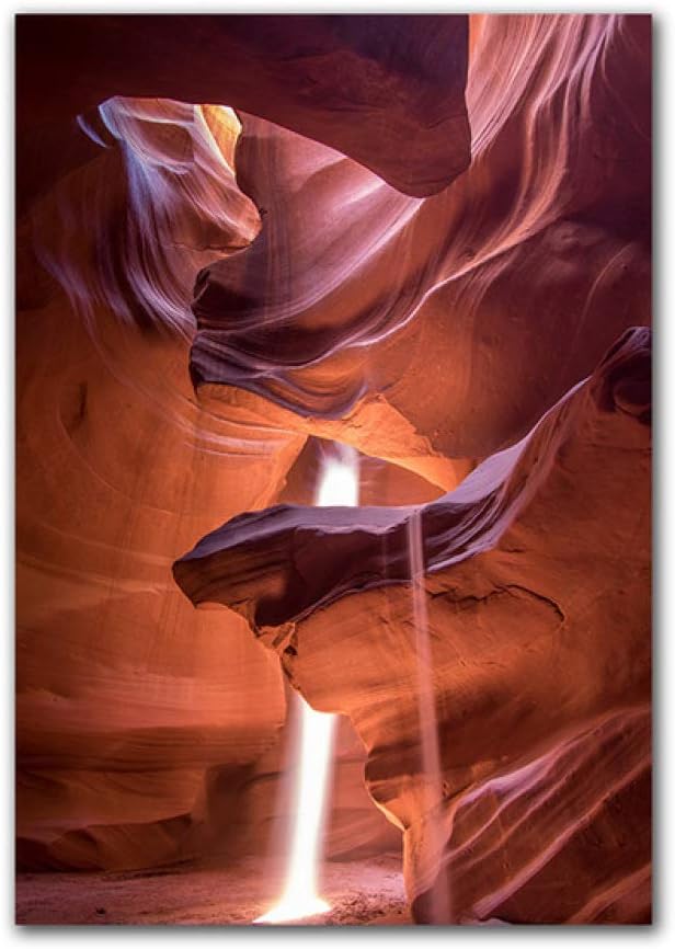 3 Mejores Cactus Pascua Sustrato Para Huertos 2020