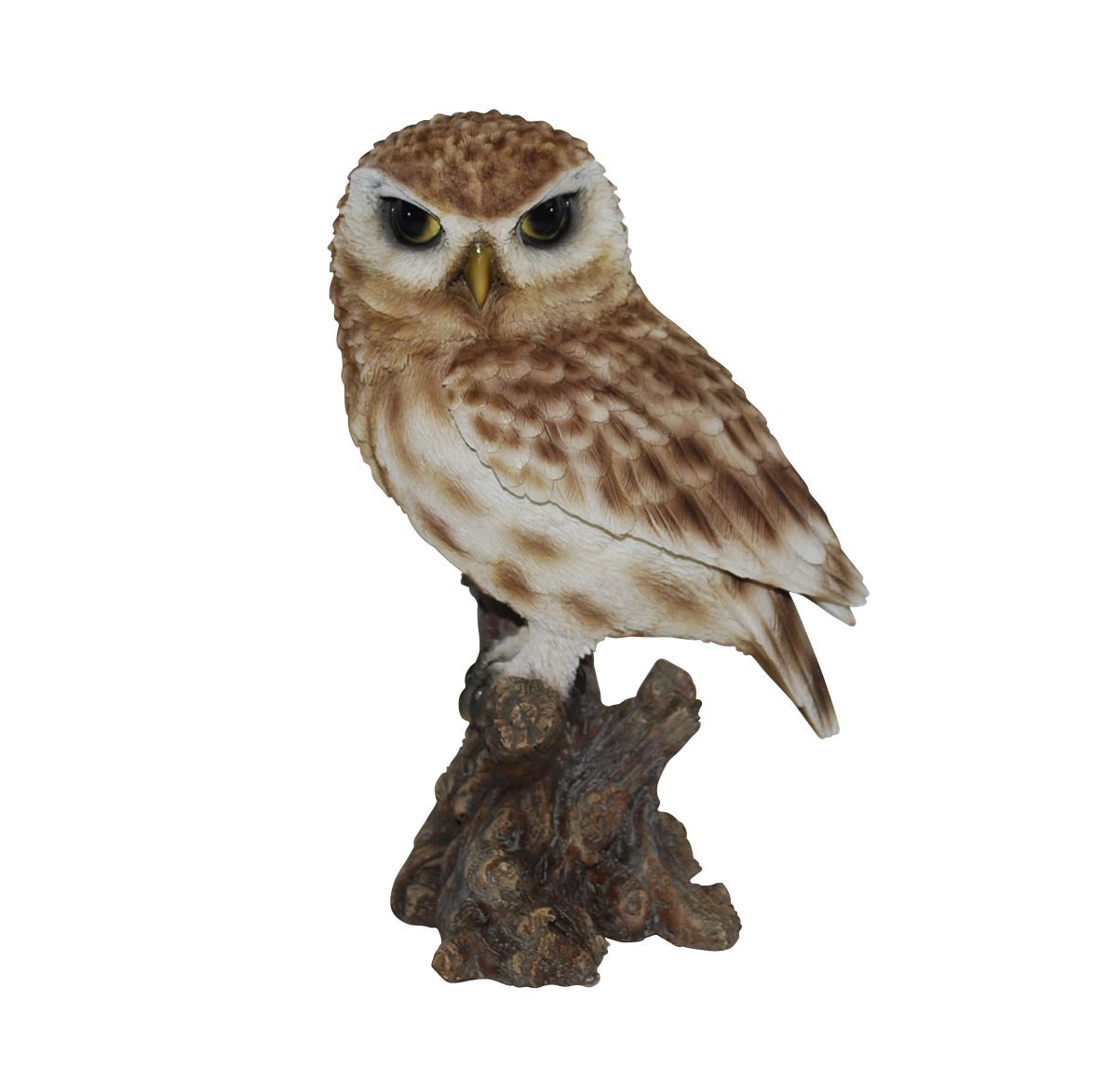 Vivid Arts Size-D Real Life Little Owl