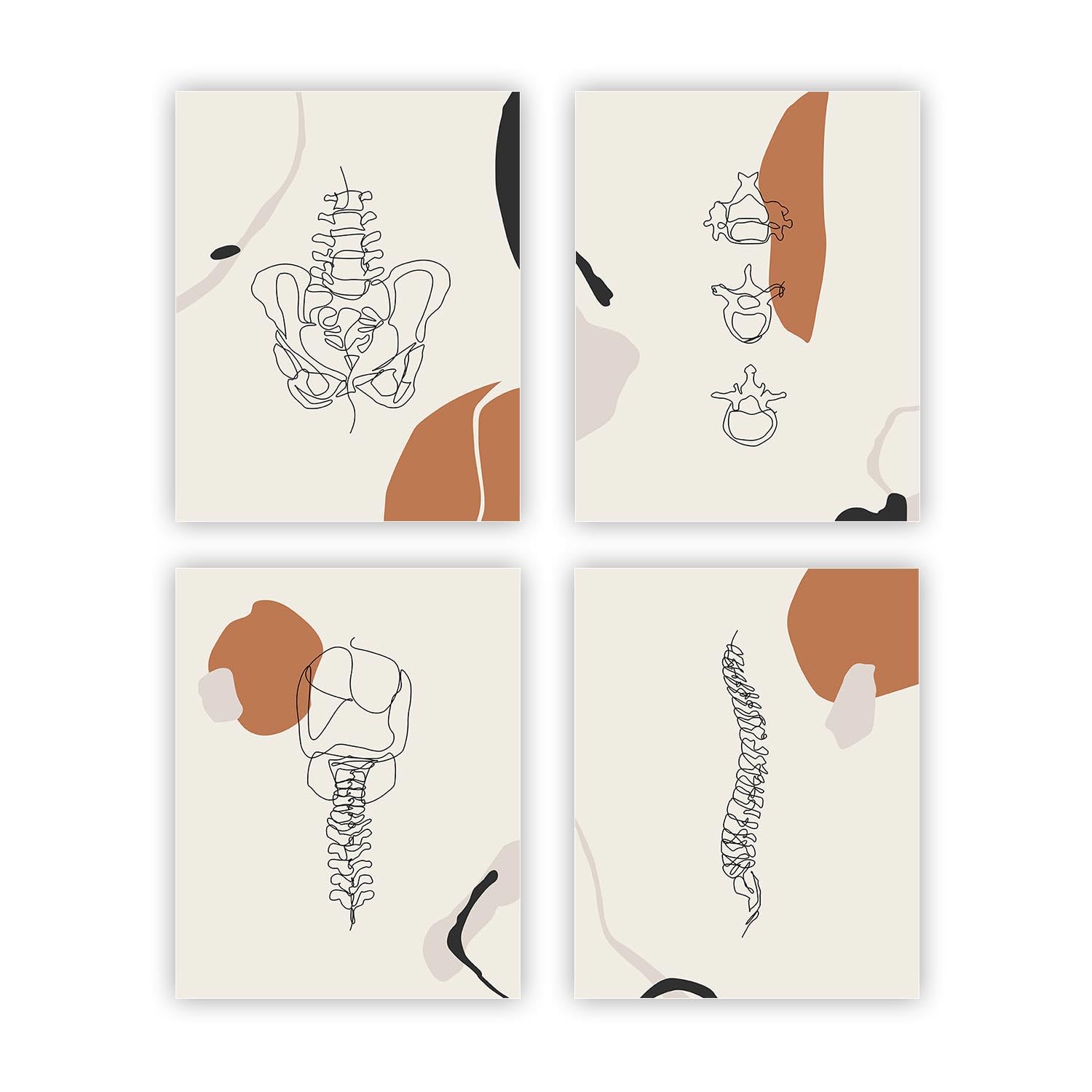 Poster Di Anatomia Artistica Heilkee – Set Di 4 Stampe Boho Beige Con Colonna Vertebrale E Bacino – Decorazione Da Parete Minimal Per Ufficio Medico O Soggiorno - 2