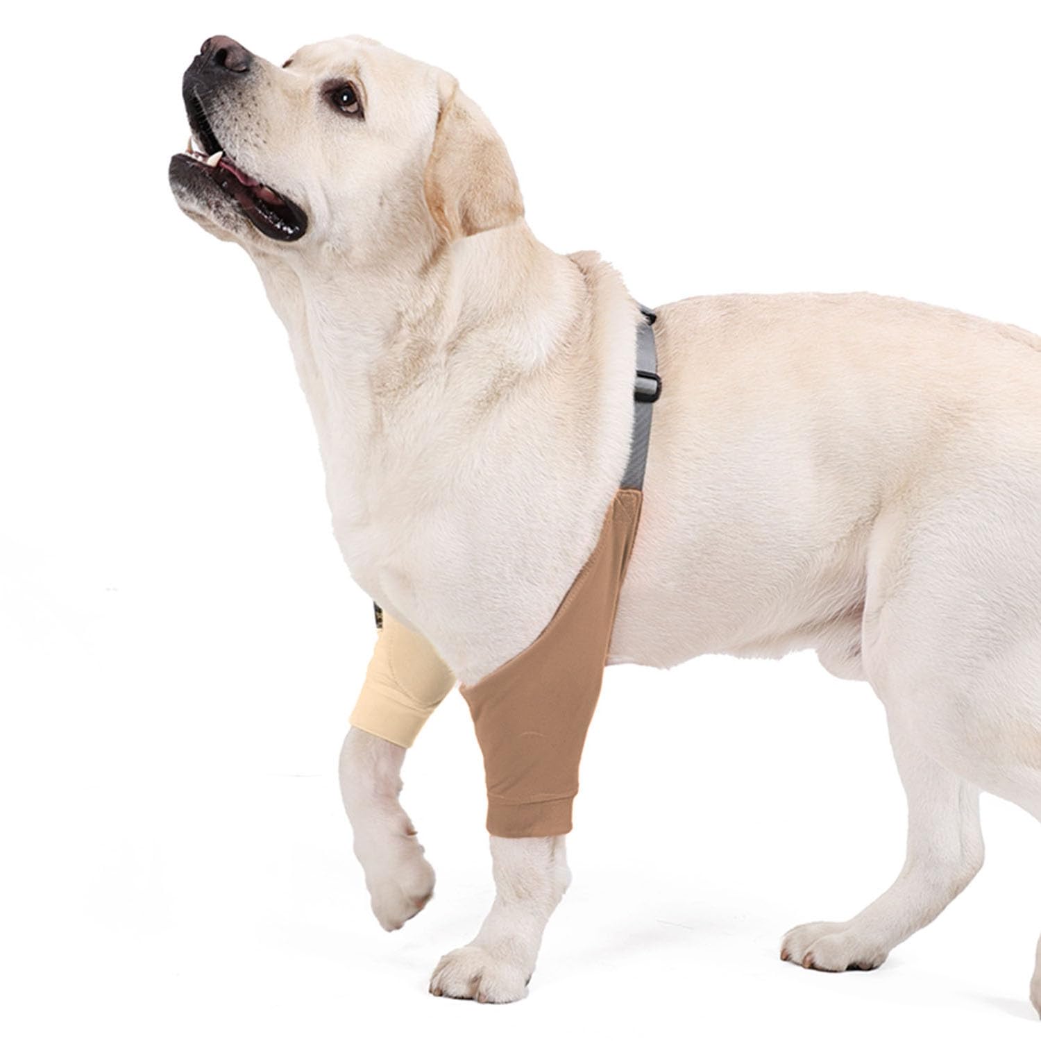 MeiAOBest Dog Front Leg Joint Protector Sleeve,Elbow Sleeves with Pad for Medium Large Dogs Prevent Licking Wound_XL(Brown) — image 1