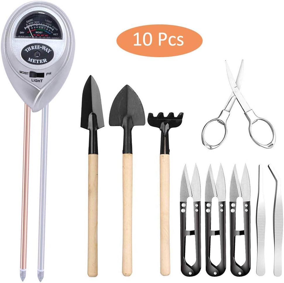 Best Vegetable Garden Soil Test Kit