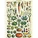 Cavallini Decorative Paper - Le Jardin 20