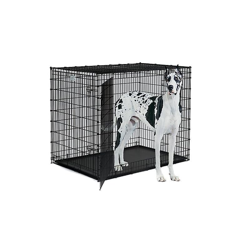 Dog Cage 36 Inch Wire MidWest Homes For Pets Medium Dog Crate