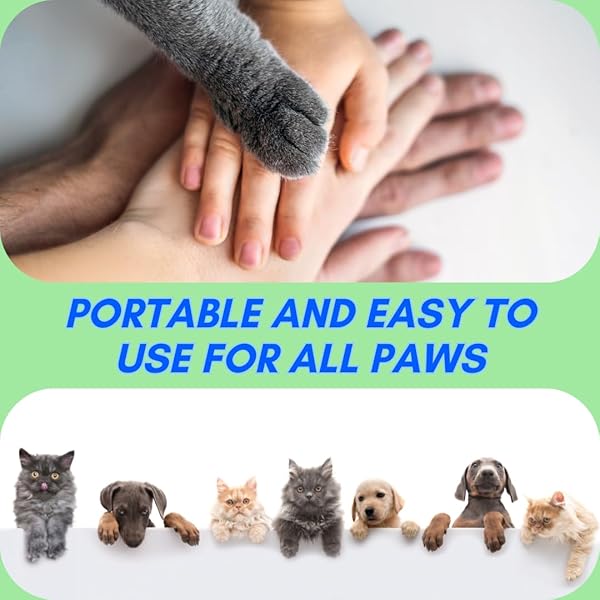 WELAPET FOAM PAW CLEANER | NO-RINSE FOAMING CLEANSER WITH SILICONE BRISTLE BRUSH FOR GENTLE DEEP CLEANING | FRAGRANCE-FREE, PH-BALANCED FORMULA SAFE FOR ALL DOGS AND CATS | 5OZ