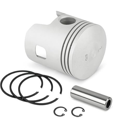 Amazon.com : A.A Micro Switch for Harley Davidson & Columbia