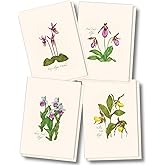 Earth Sky + Water - Native Orchid Assortment Assortment Notecard Set - 8 Blank Cards with Envelopes (2 each of 4 styles)