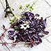 Qingbei Rina Purple Lavender Potpourri Bags,Fresh Perfume Sachet Home Fragrance Spring Dried Flower Petal with Essential Oil,5 Bags,9 oz