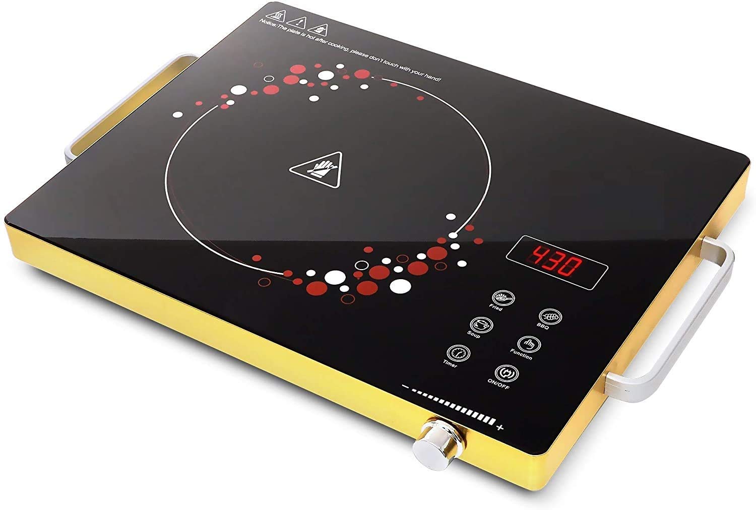 Buy Yagviz Portable Induction Cooktop 2000W 220Volts Induction Cooker