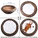 Sunmig Newborn Baby Photo Props Faux Fur Mat Rug Photography Background Backdrops Basket Stuffer Blanket (White)