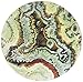 Thirstystone Beauty of the Earth Sandstone Coasters without Holder Set of 4