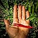 All Good Things Organic Seeds Cayenne Chili Pepper Seeds (~40)