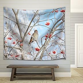 Bird Waxwing Sitting Among The Rowan in The Frost - Fabric Wall Tapestry Home Decor - 51x60 inches