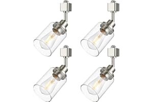 Wanluce 4 Pack H Track Lighting Replacement Heads Brushed Nickel Ceiling Track Lighting Fixtures with Clear Glass Shades, H Type Track Light Heads E26 Base Spotlight for Retail Shop Kitchen Island
