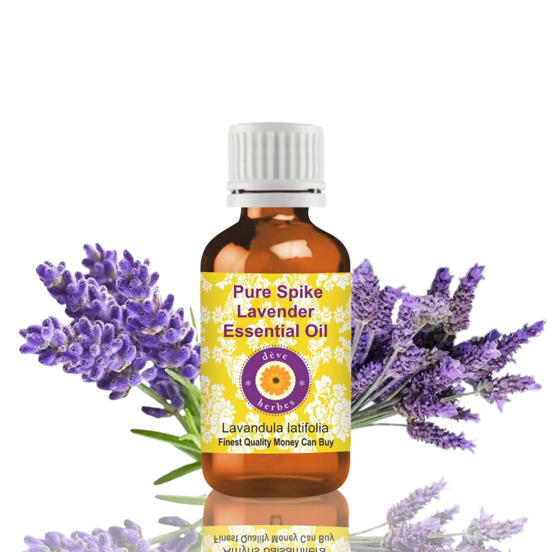 Deve Herbes Pure Spike Lavender Essential Oil (Lavandula latifolia) Steam Distilled Natural Therapeutic Grade 10ml (0.33 oz)