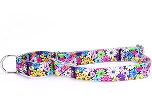 Pimaodog Heavy Duty Nylon Dog Collar, Adjustable Martingale Dog Collar for Walking Training Boy and Girl Dogs Medium Large Dogs (XL:53-62CM, Coloured Daisies)